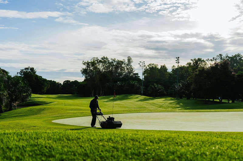 Concerts, Traffic, and Lawnmowers: How Loud Are Everyday Sounds?