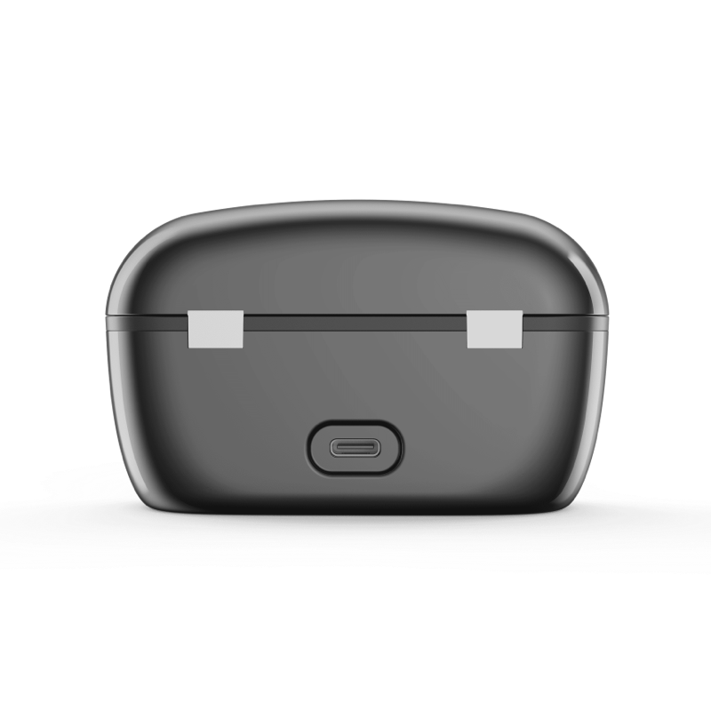 Didasou OTC RIC Hearing Aid (Adults 18+)
