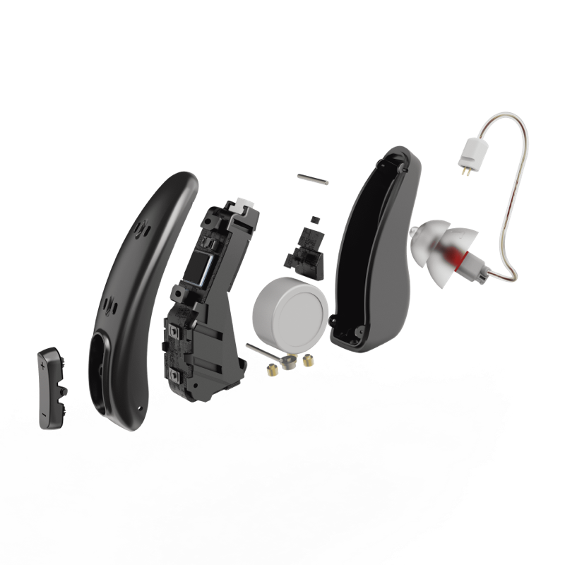 Didasou OTC RIC Hearing Aid (Adults 18+)