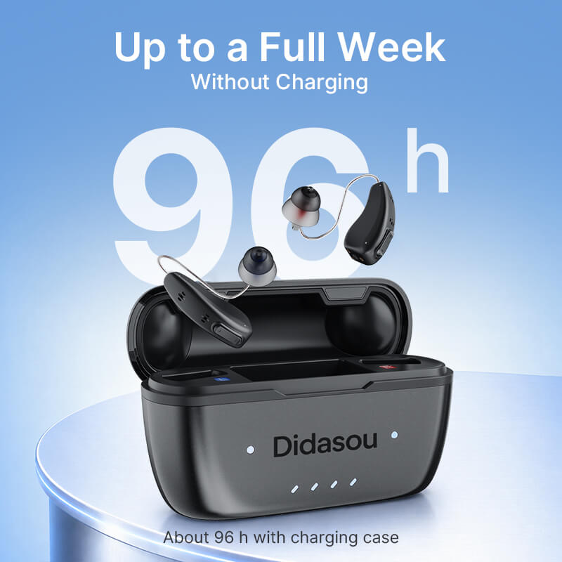 Didasou S2 OTC RIC Hearing Aid (Adults 18+)