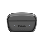Didasou OTC RIC Hearing Aid (Adults 18+)