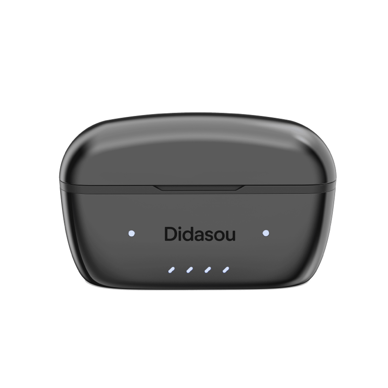 Didasou OTC RIC Hearing Aid (Adults 18+)